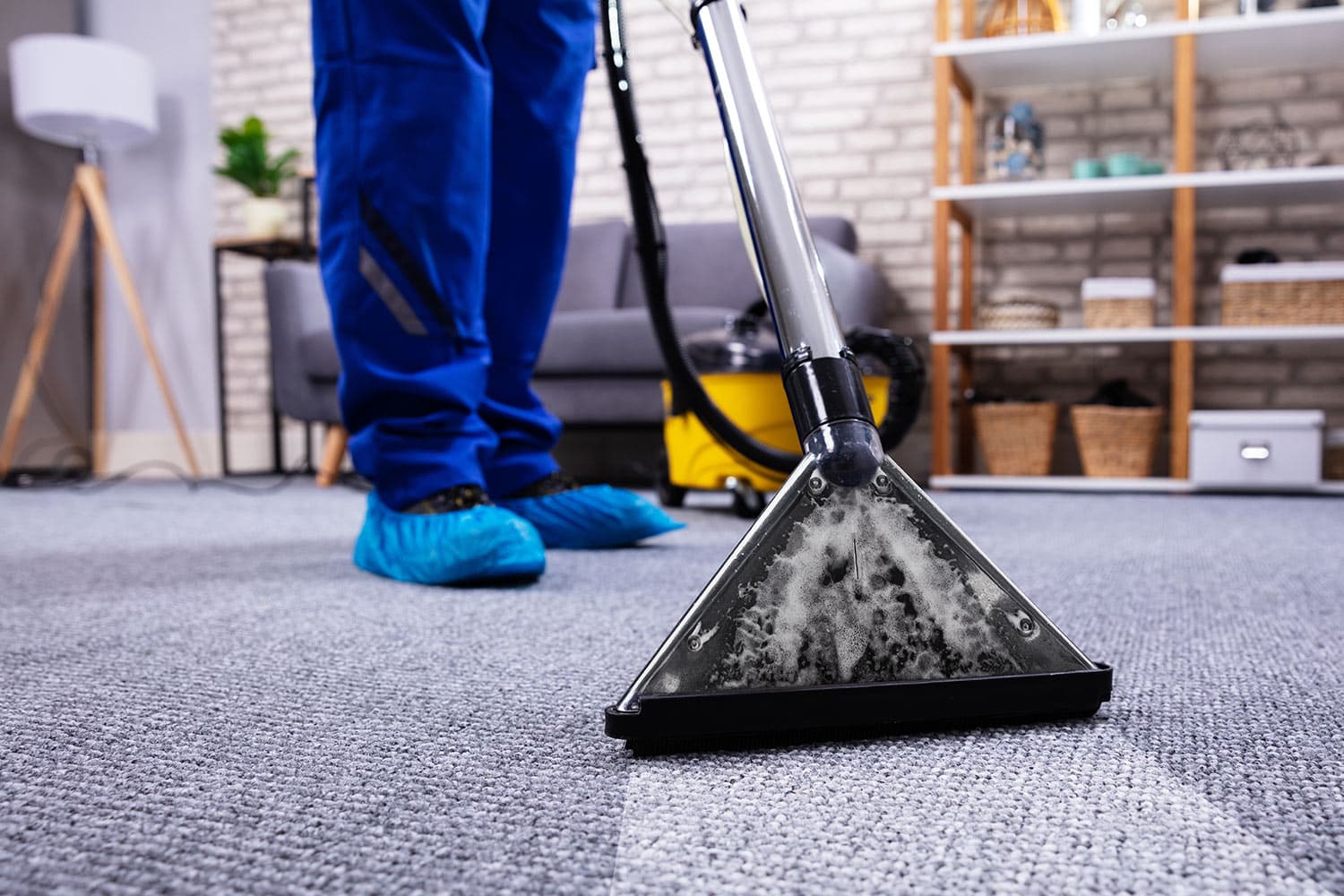 A cream carpet showing the clean stripe of a professional extraction pass